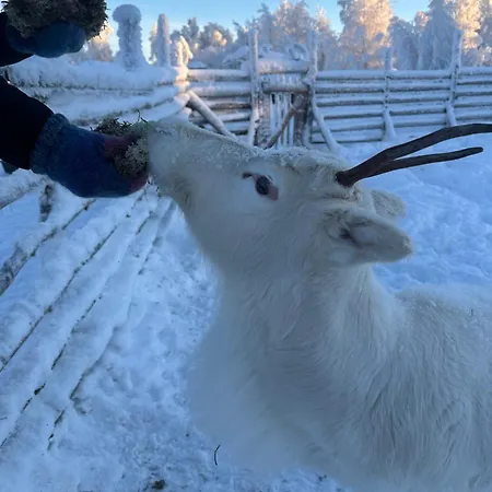 Shaman Village - & Glass Igloos Отель